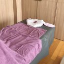 몸이편안한집 이미지