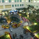 순천향대학교부천병원 이미지