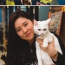 고양이카페 이미지