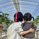 온누리2농장 이미지