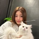 윤채