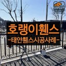 태안파출소 | 태안 휀스 펜스 - 파출소 주변에 맞춤 시공 해드렸어요