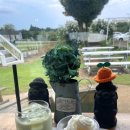 신도목장 이미지