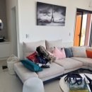 레드앤풀 이미지