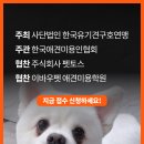 바로펫 주식회사 네이버블로그