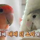 모란농장 이미지