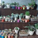 늘푸른민박 이미지