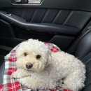 미즈의원 이미지