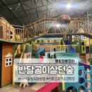 무궁화농장 | 키즈존·동물농장·체험까지, 반달곰이 살던 숲 캠핑장의 세계