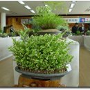 창녕초등학교 이미지