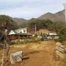 소나무정원 이미지