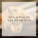 이엘치과의원 네이버블로그