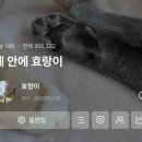[일기] 대충 사는 블로거의 가을, 겨울 일상