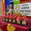 용인대 금강 태권도장 이미지