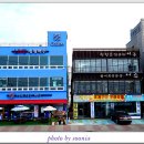 생명의나무 전망대 티스토리