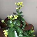 차항1리 마을회관 이미지