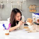 삼성덴탈 이미지