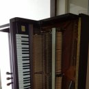 율하초등학교 앞 이미지