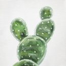 석정할인마트 이미지