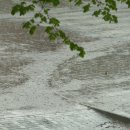 아뜰리에 7 이미지