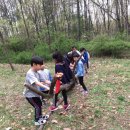 문산동초등학교 | 우리들 자연학교 4월 25일 문산동초 현장학습 수업후기