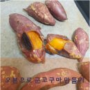 부산글라스텍 이미지