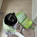 비지플레이16