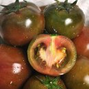 토마토2 이미지