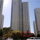 둘이이비인후과의원 이미지