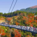 유메 - 철원군 | 유메