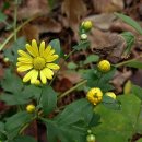 상복농장 이미지