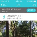 트레이닝 마에스트로 이미지