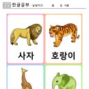 디자인531