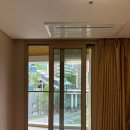 땡큐댕댕 이미지