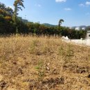 용인덕성공인중개사사무소 이미지