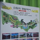 삼달리-9 | 제주 삼달리 꽃밭에서 후기 동백꽃 만개한 사진 명소 정원 여행