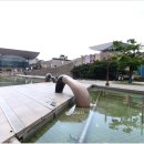 대전엑스포시민광장 Daum카페