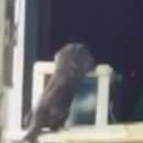 수달횟집