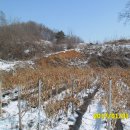 대지부동산중개사무소 이미지