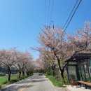 웅포초등학교병설유치원 이미지