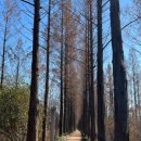 홍제자전거주차장 이미지