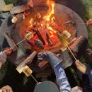 단양생태체육공원 1 이미지