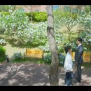 일진콘택트렌즈 이미지