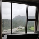 소노펠리체 델피노 이미지