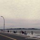 제부비치타운 이미지