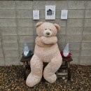 늘경주휴 이미지