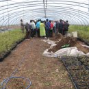 무주 농원 이미지