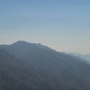 흙과 나무 | 장수 장안산 등산 코스(무룡고개~억새 군락지~장안산, 상봉~원점)