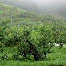 이종태농장 이미지