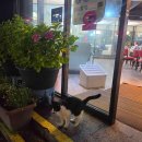킹파이터cafe